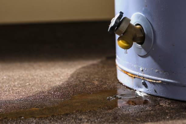 Water damage restoration mold remediation in OH
