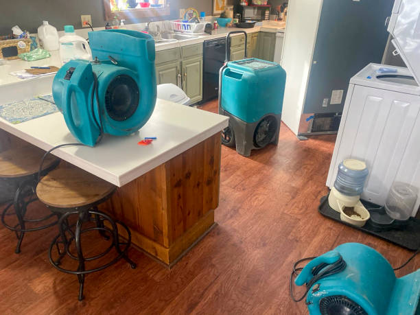 Best Flooded house restoration  in Oak Hill, OH
