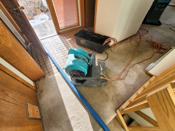 Best Basement water damage restoration  in Oak Hill, OH
