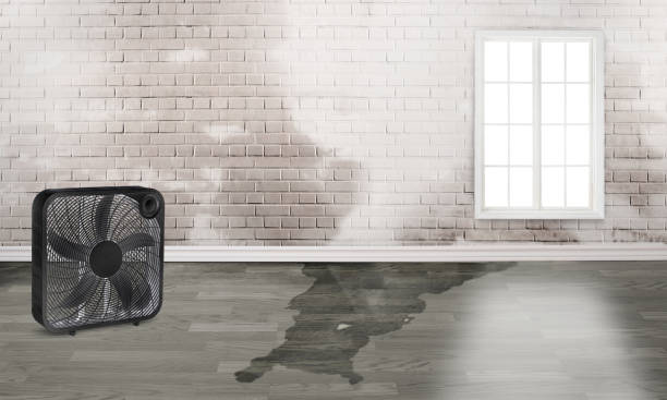 Best Commercial water damage restoration  in Oak Hill, OH