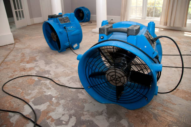 Best Water damage cleanup near me  in Oak Hill, OH
