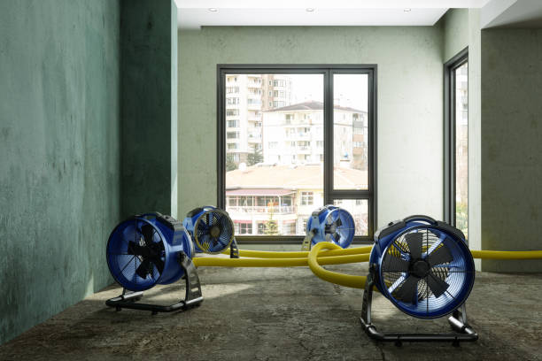Best 24-hour water damage restoration  in Oak Hill, OH