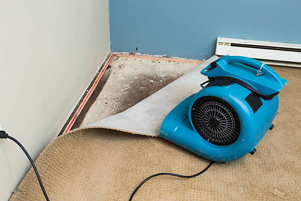 Best Emergency water damage restoration  in Oak Hill, OH